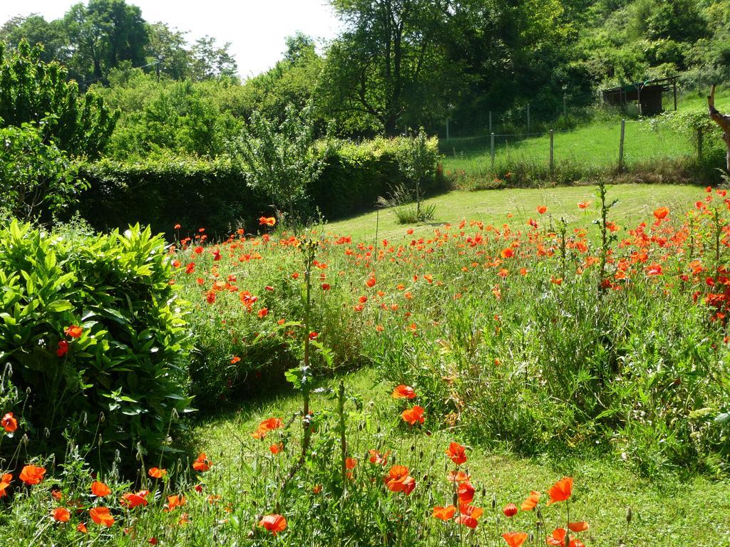 Maison D'Hotes Les Coquelicots Giverny Kültér fotó